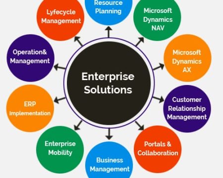 Enterprise Software Solutions