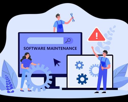 Software maintenance and support